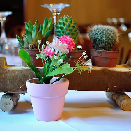 Hotel Morandi